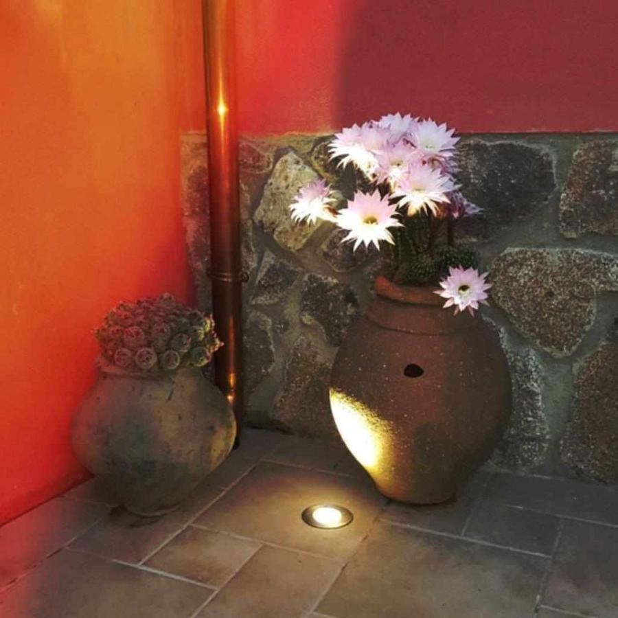 Casa Rural Rojo Del Tietar La Iglesuela Buitenkant foto